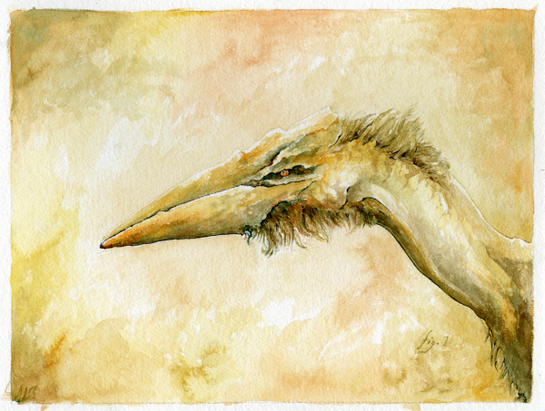 Beast Portrait