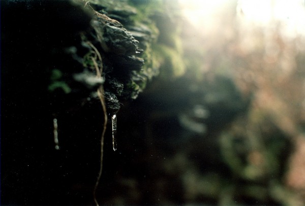 Icicles Icicles